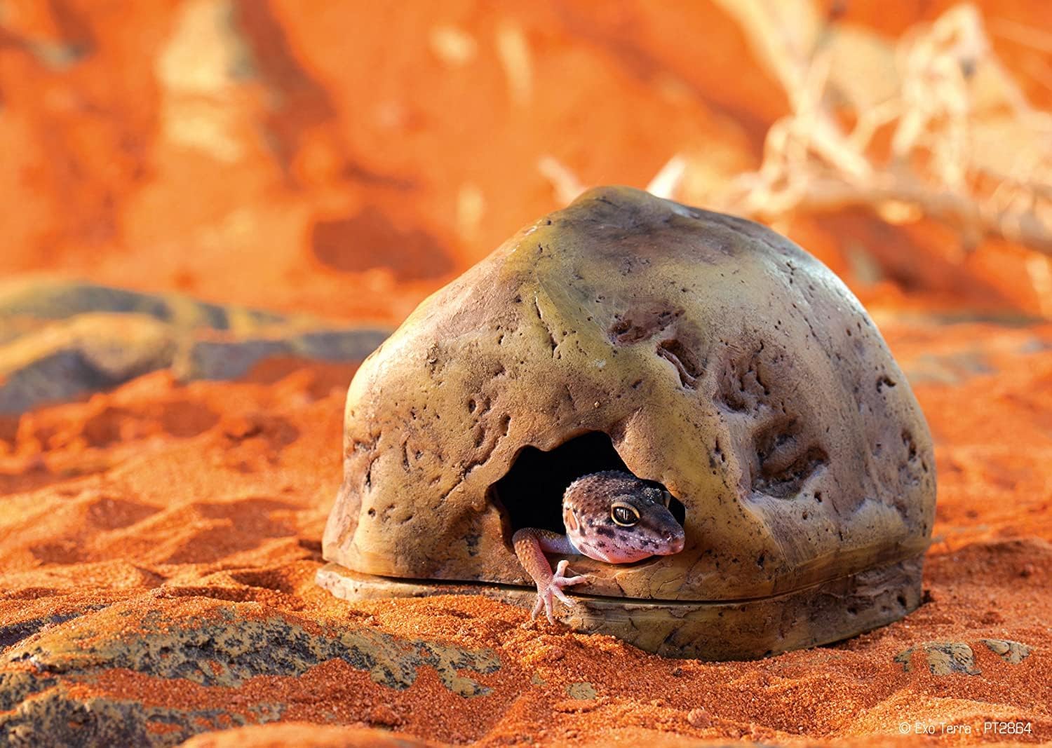 Exo Terra Gecko Cave for Reptiles and Amphibians, Reptile Hideout - GlobalHabitat Supply
