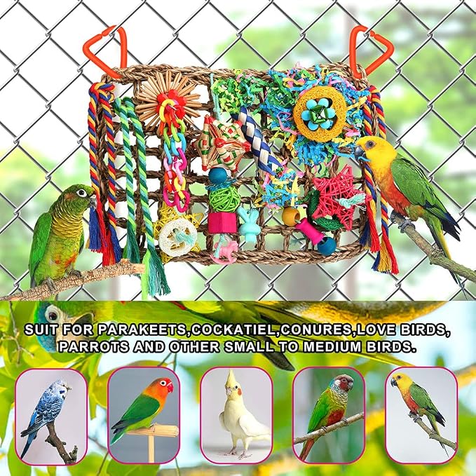 Foraging Toys for Parakeets Cockatiel Conures Lovebirds - Image 6