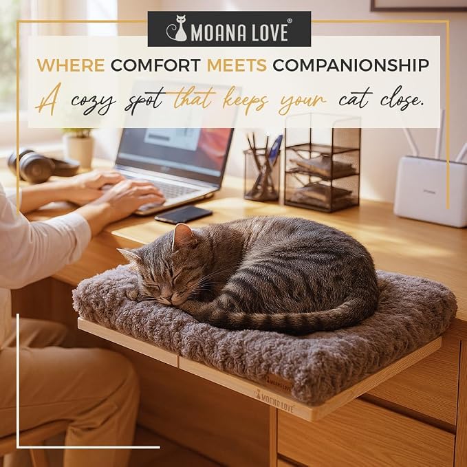 Cat Window Bed - Cozy Window Perch - Image 5