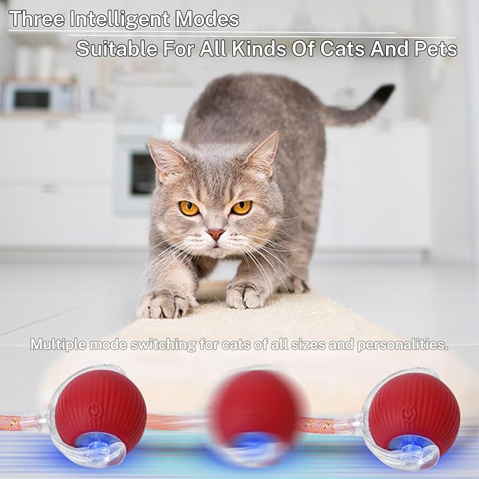New Upgraded Cat Ball Toy - Image 5
