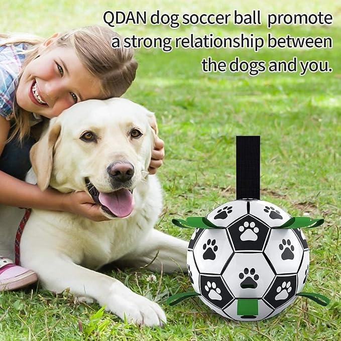 QDAN Dog Toys for Small Medium Puppy, Soccer Ball for Dogs - Image 3