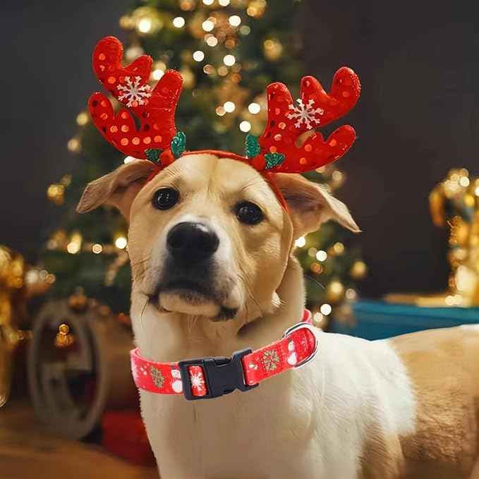 Christmas Dog Collar with Buckle Adjustable Safety Nylon Collars