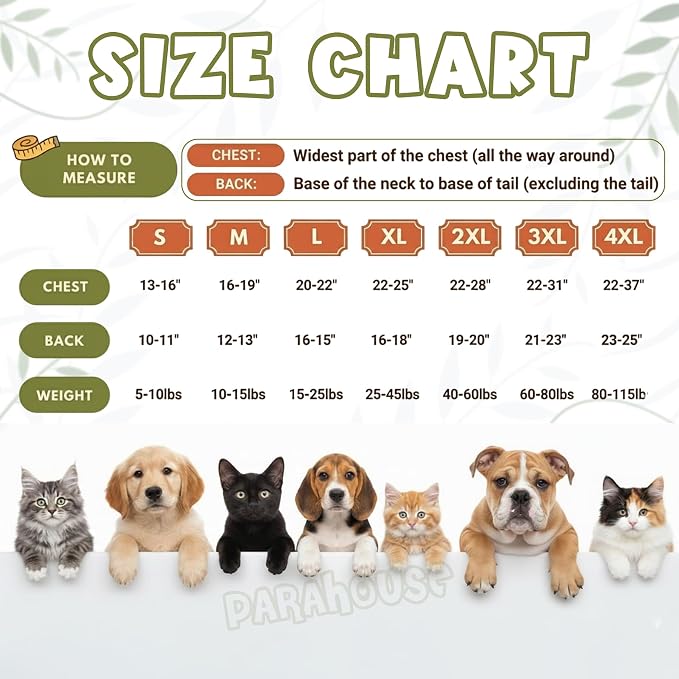 Personalized Dog Hoodie, Custom Embroidered Name Pet Hoodie, Warm Winter Outfit - Image 4