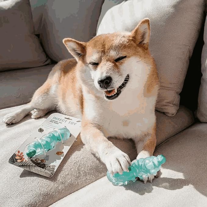 Small Breed Dog Chew Toys for Teething - Image 5