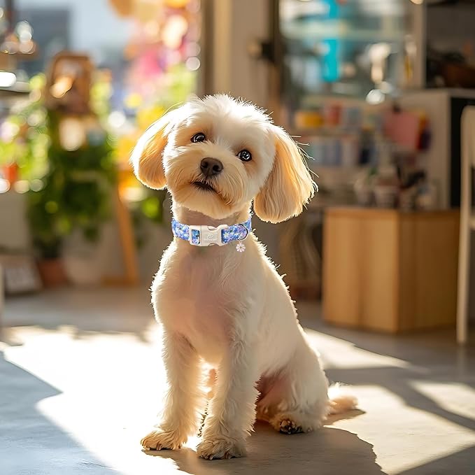 Floral Dog Collar for Small Dogs - Image 5