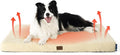 Bedsure Self Warming Dog Beds Large Sized Dog by BEDSURE