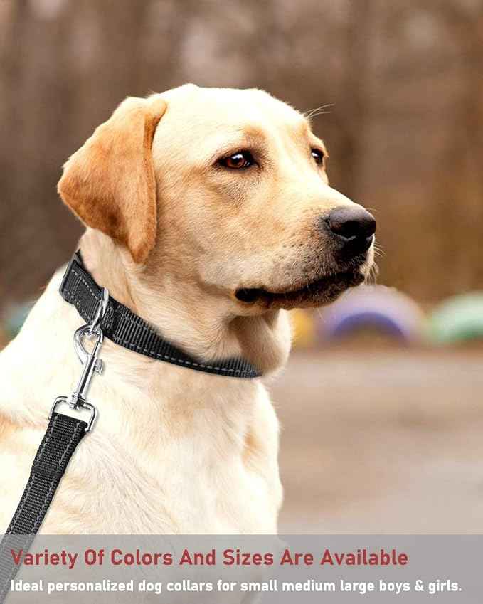 Reflective Dog Collar with Buckle Adjustable Safety Nylon Collars