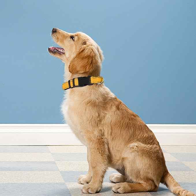 Reflective Dog Collar, Adjustable Soft Neoprene Padded Nylon Pet Collars
