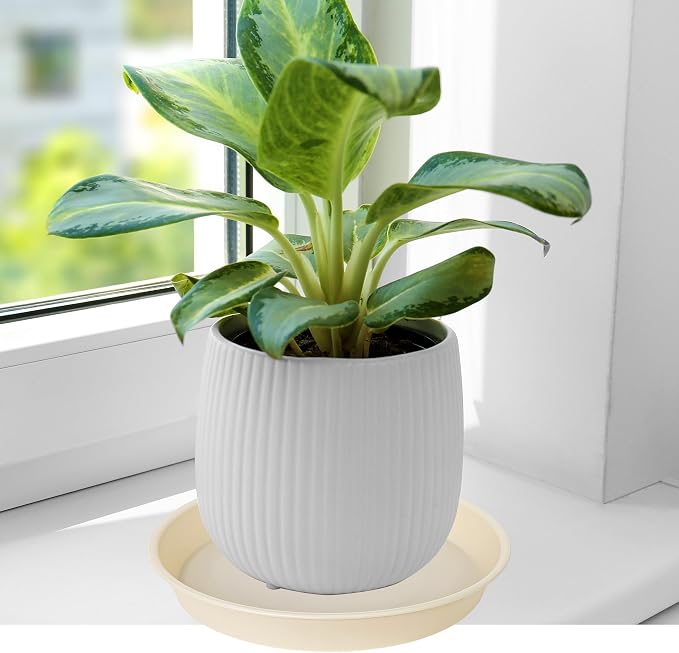 6 Pack of 8 inch Plant Saucer Blue, Plastic Plant Water Tray 8 inch Round - Image 4