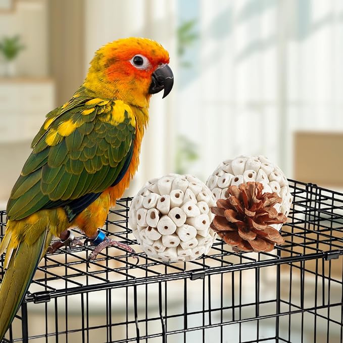 Kyouki Bird Toys Parrot Toys Natural Bird Foraging Box Foot - Image 6