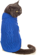 Stretchy Cat Sweater by Jnancun