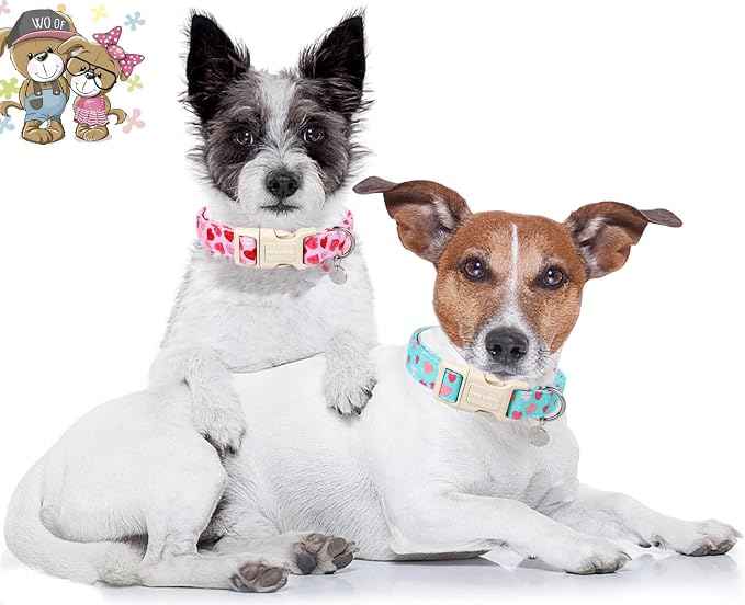 DOGWONG Valentine's Dog Collar