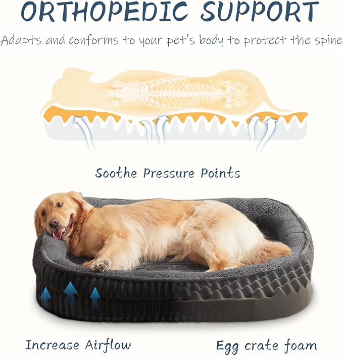 Orthopedic Dog Bed for Medium, Large Dogs Breeds, High Density Egg Crate Foam - Image 2