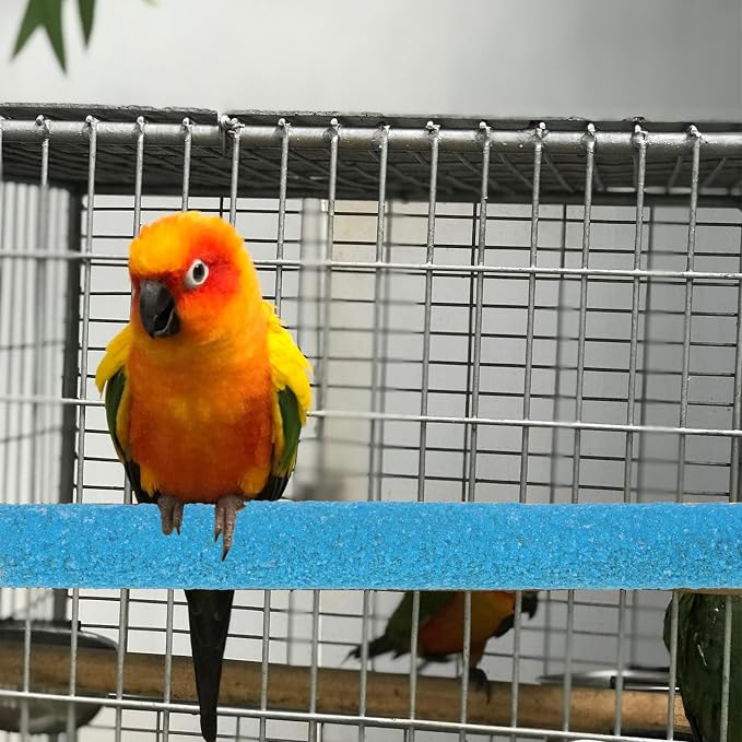 Bird Perches Stand for Cage - Image 6