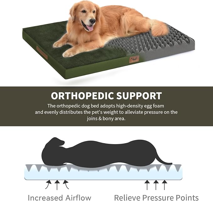 Orthopedic Dog Bed for Large Dogs, Plush Washable Pet Bed for Large Size Dogs - Image 3