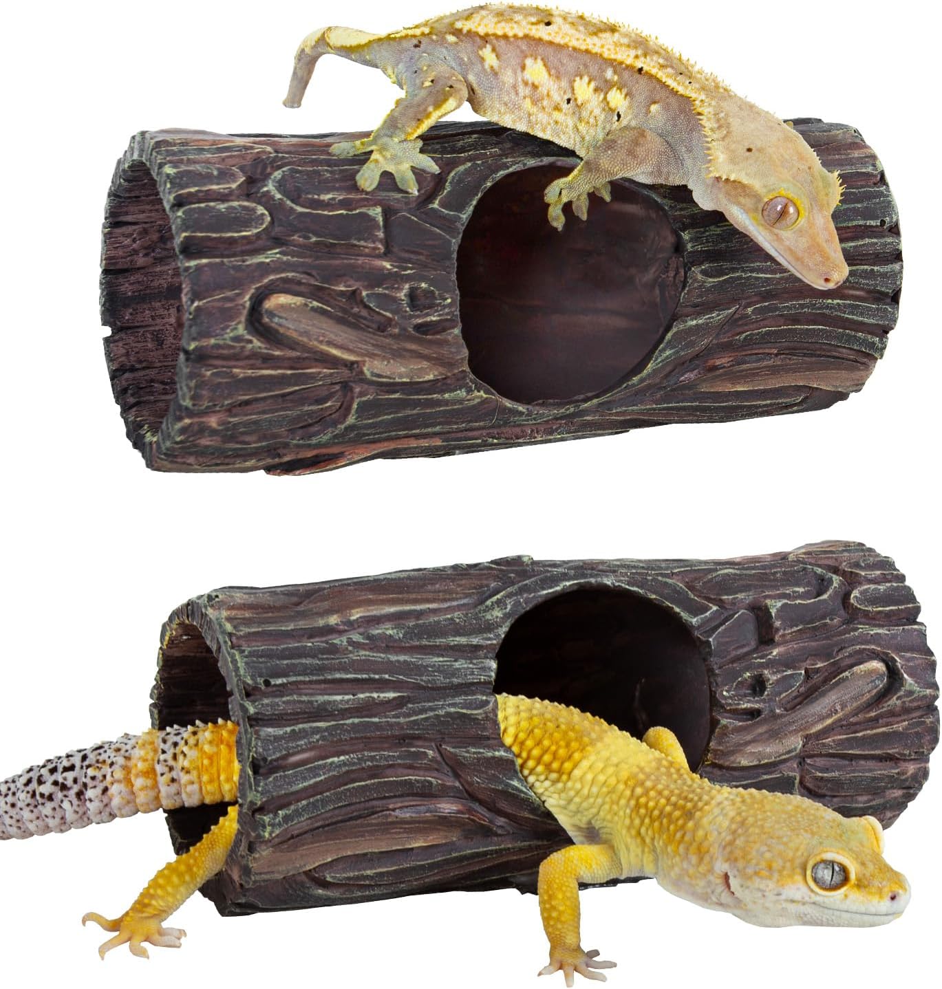 REPTIZOO Magnetic Crested Gecko Reptile Hide Cave - GlobalHabitat Supply