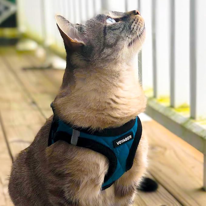 Best Pet Supplies - Image 8