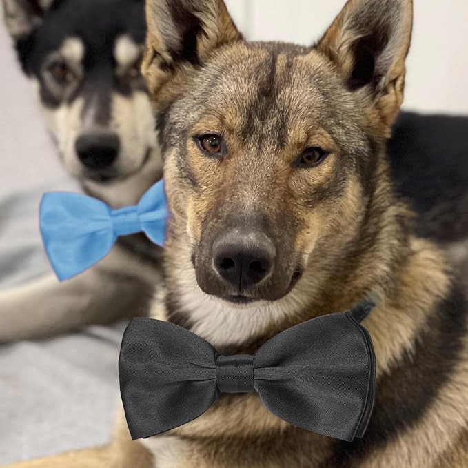 KOOLMOX Light Blue Dog Bow Tie, 2 Pack - Image 5