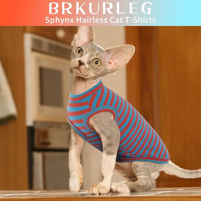 BRKURLEG Hairless Cats T Shirt, Cat Sweaters, Pullover Kitten Shirts, - Image 3