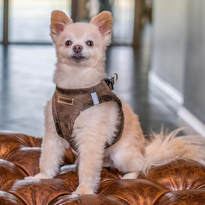 Best Pet Supplies - Image 7