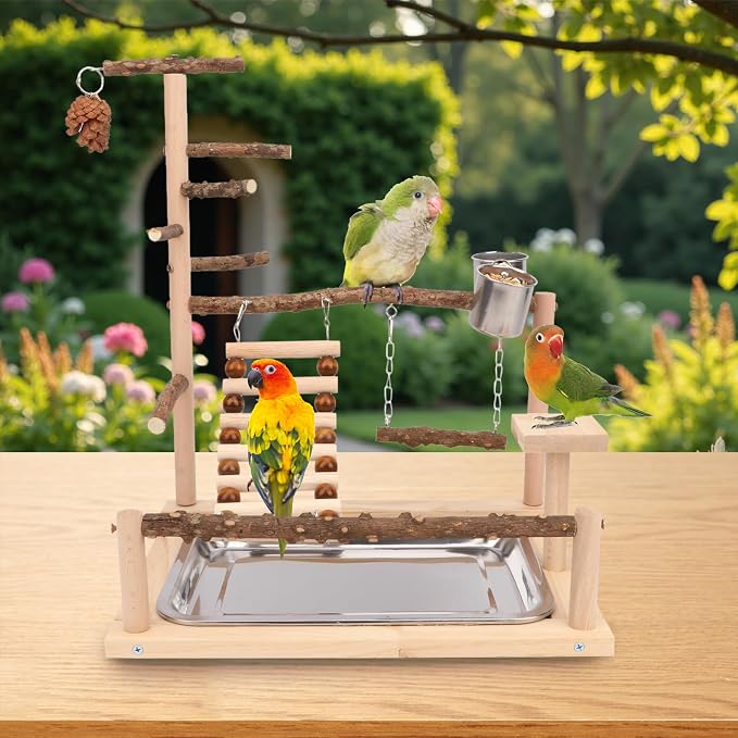 Wontee Bird Playground Wooden Bird Perch Stand Ladder Swing - Image 6