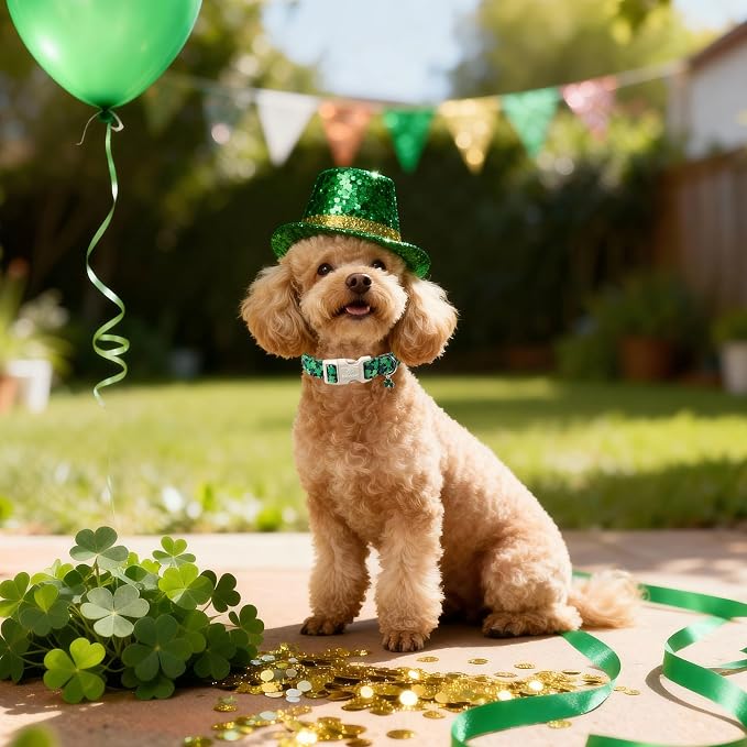 St Patricks Day Dog Collar for Puppy Small Dogs - Image 3