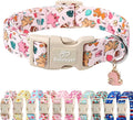 Cute Dinosaur Dog Collar, Adjustable Pink Dino Dog Collars by Babolepet