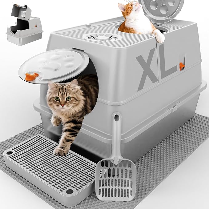 Stainless Steel Litter Box by Unknown