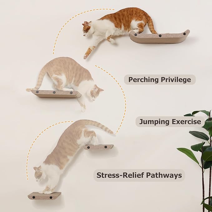 Wall Mounted Cat Shelves and Perches, Scratcher Cat Beds & Furniture - Image 5