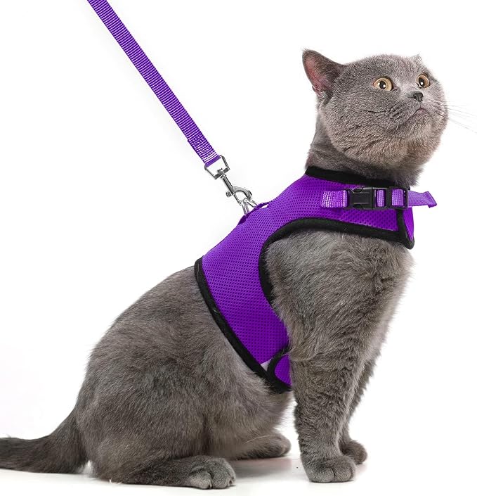 PUPTECK Soft Mesh Cat Vest Harness and Leash Set Puppy Padded Pet Harnesses by PUPTECK