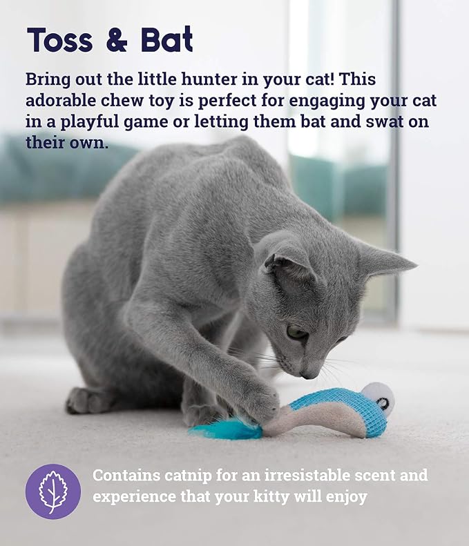 Catstages Petstages Dental Shrimpies Catnip Cat Chew Toy - Image 3