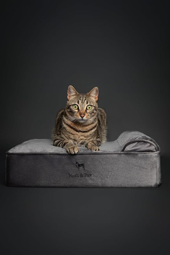 NOAH & PAW Small Dog Bed, Cat Bed - Image 2
