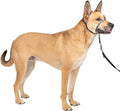 PetSafe Gentle Leader Headcollar No-Pull Dog Collar by PetSafe
