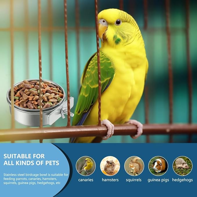 2Pcs Stainless Steel Bird Feeding Bowls, Small Bird Feeding Cup, Stainless - Image 6