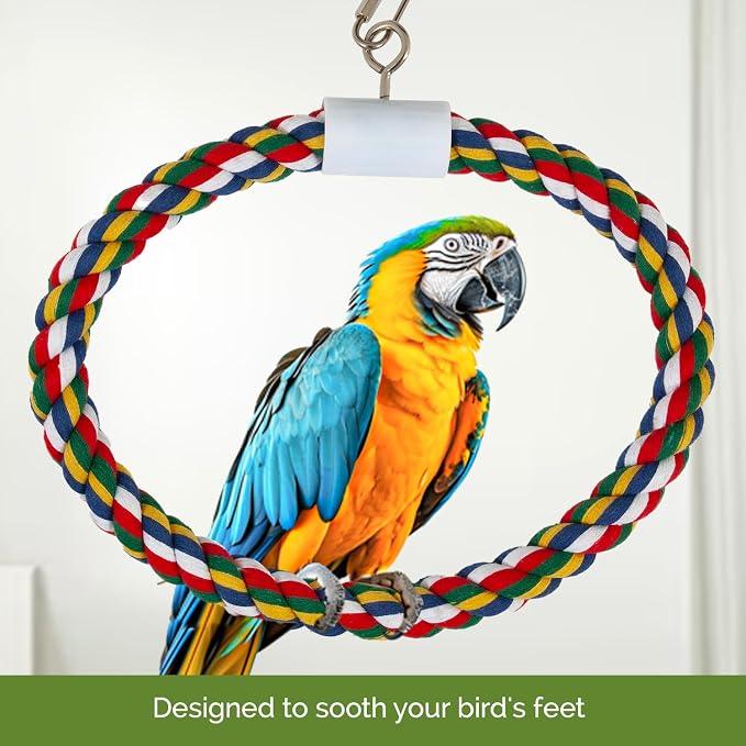 JW Pet Swing N' Perch - Image 3