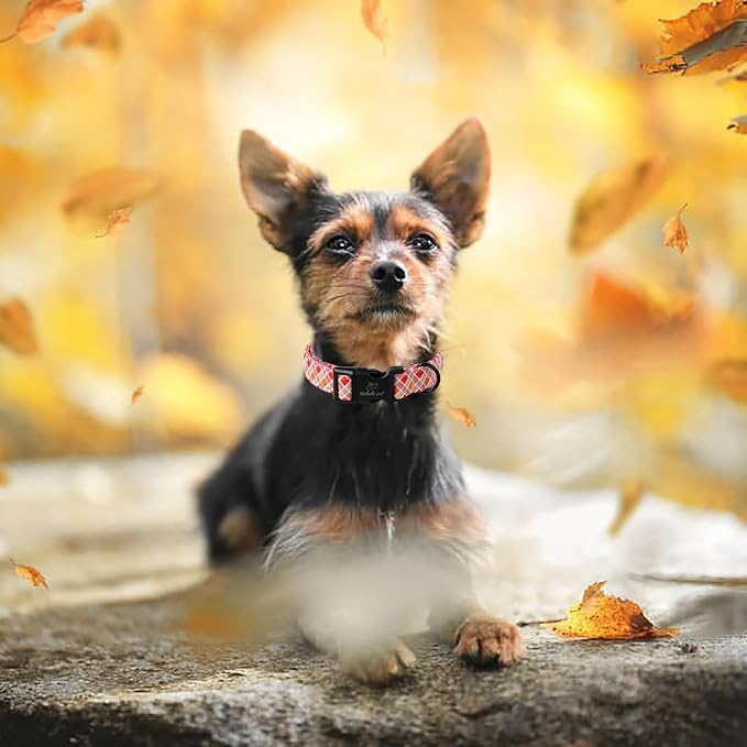 Fall Dog Collar, Fall Orange and Red Plaid Puppy Collar, Adjustable Cotton - Image 3