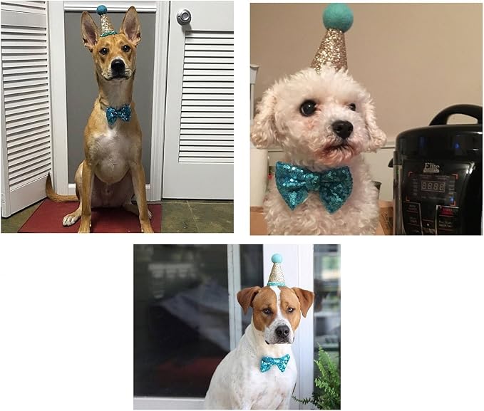 CheeseandU Pet Cute Birthday Party Cone Hat and Bow tie Collar Set - Image 8