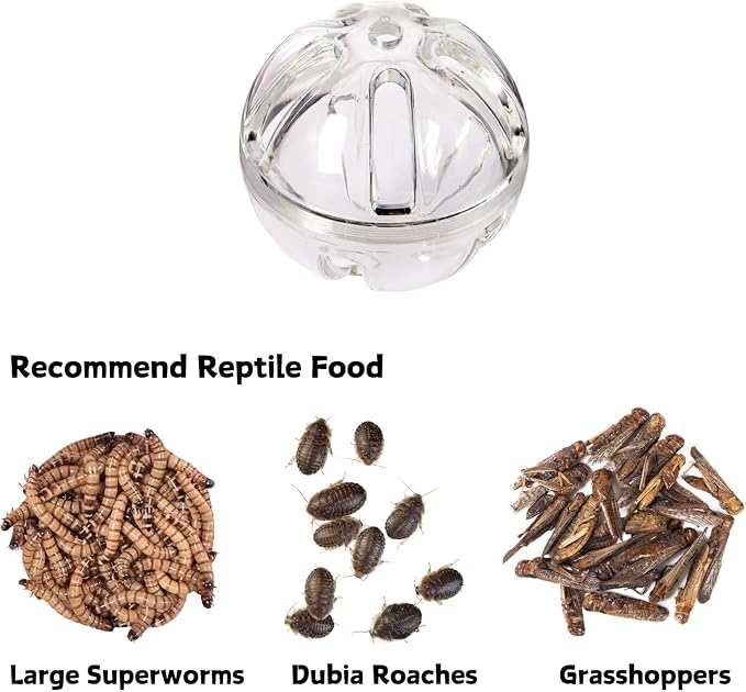 Bearded Dragon Feeder Toy Reptile Foraging Ball Lizard Enrichment Interactive - Image 3