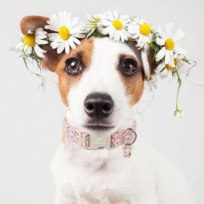 Easter Dog Collar for Small Dogs - Image 2