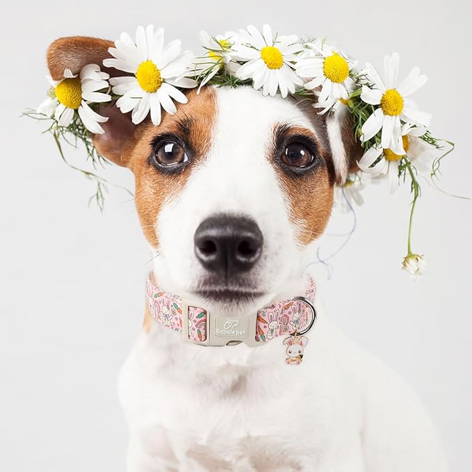 Easter Dog Collar for Medium Dogs - Image 2