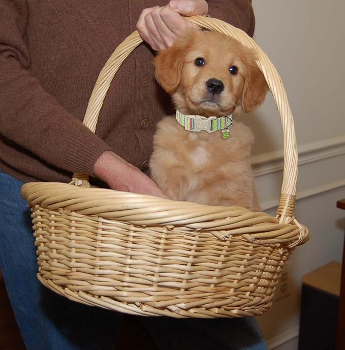 Easter Dog Collar for Medium Dogs - Image 3