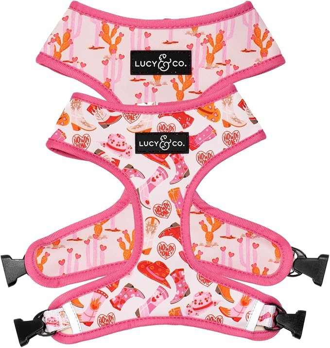 Lucy & Co. Little Lamb Adjustable Dog Collar- Cute Designer Pet Collar by LucyCo