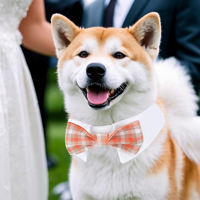 Segarty Dog Bow Tie, Adjustable Orange Plaid Bowtie Collar - Image 7