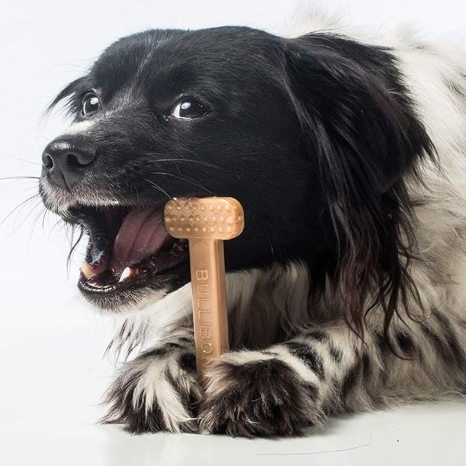 Bullibone Nylon Dog Chew Toy for Aggressive Chewers - Image 7