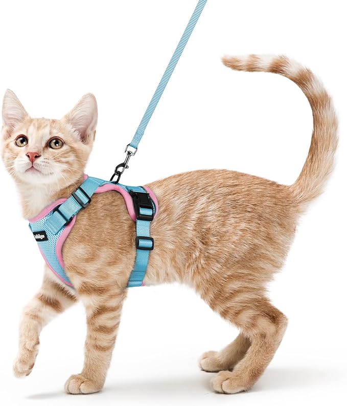 rabbitgoo Cat Harness and Leash by rabbitgoo