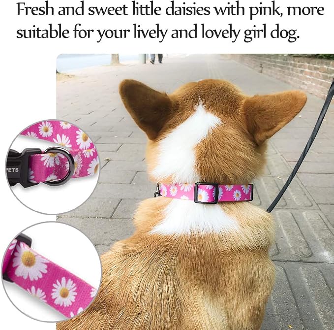 QQPETS Adjustable Soft Dog Collar: Print Flower Pink Multicolor Cute Patterns - Image 8