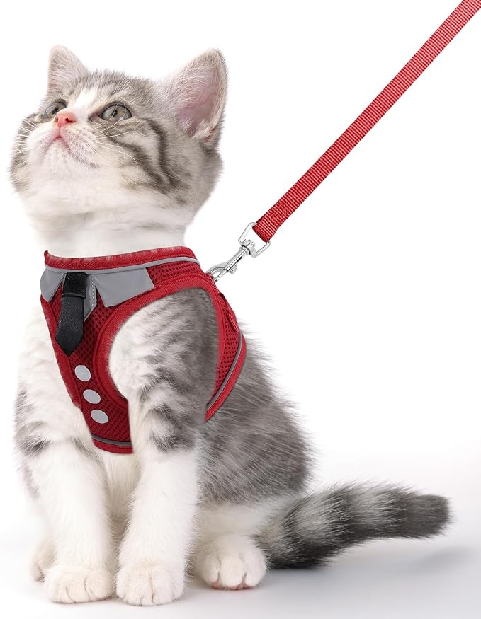 Cat Harness and Leash Set for Walking Escape Proof, Soft Adjustable Kitten by NCMAMA