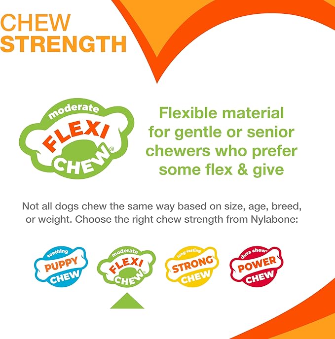 Nylabone Textured Dental Bone Flexi Chew Toy - Image 4