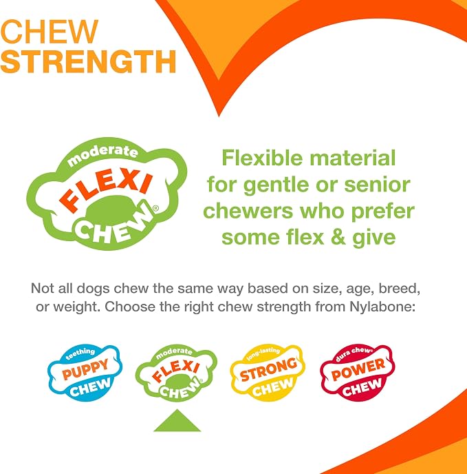 Nylabone Original Bone Flexi Chew Toy Value Pack - Image 4