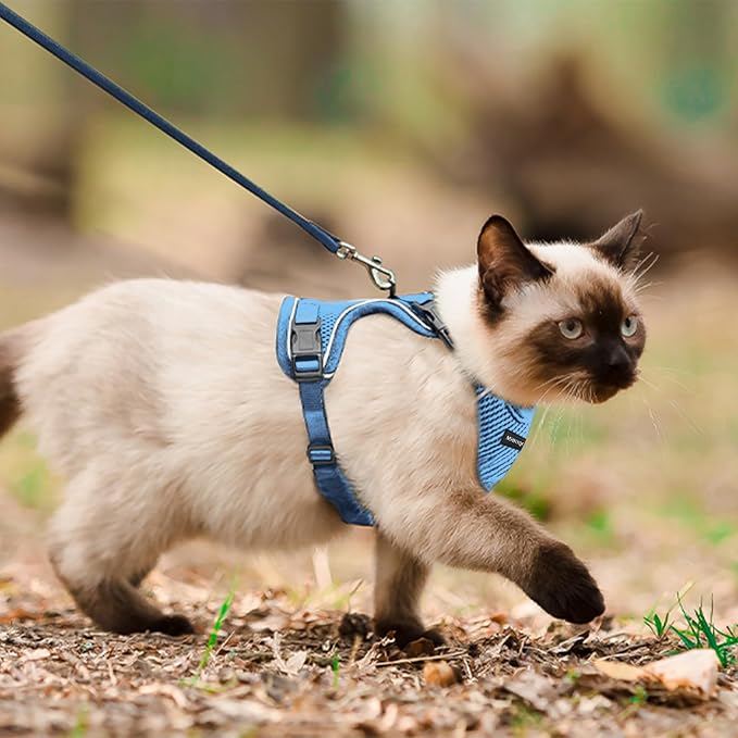 Cat Harness, Cat Car Harness and Leash - Image 5